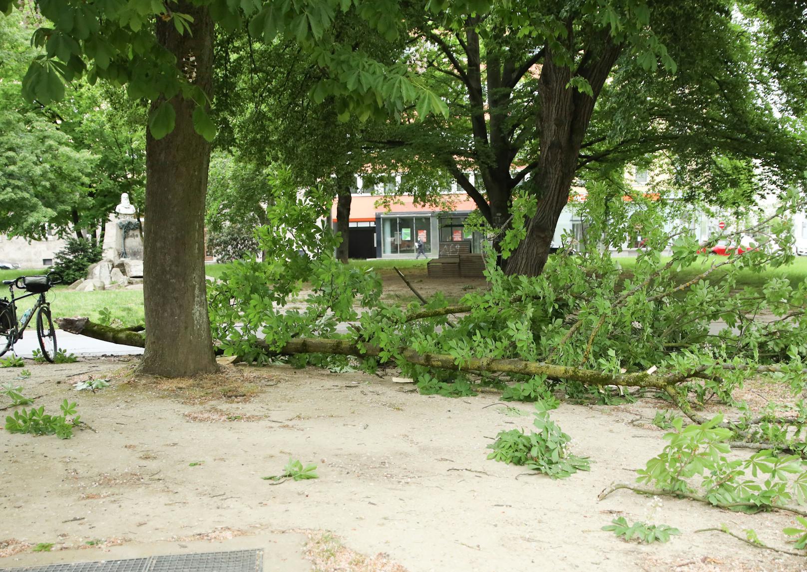 Der Sturm hat auch im Linzer Volksgarten gewütet.