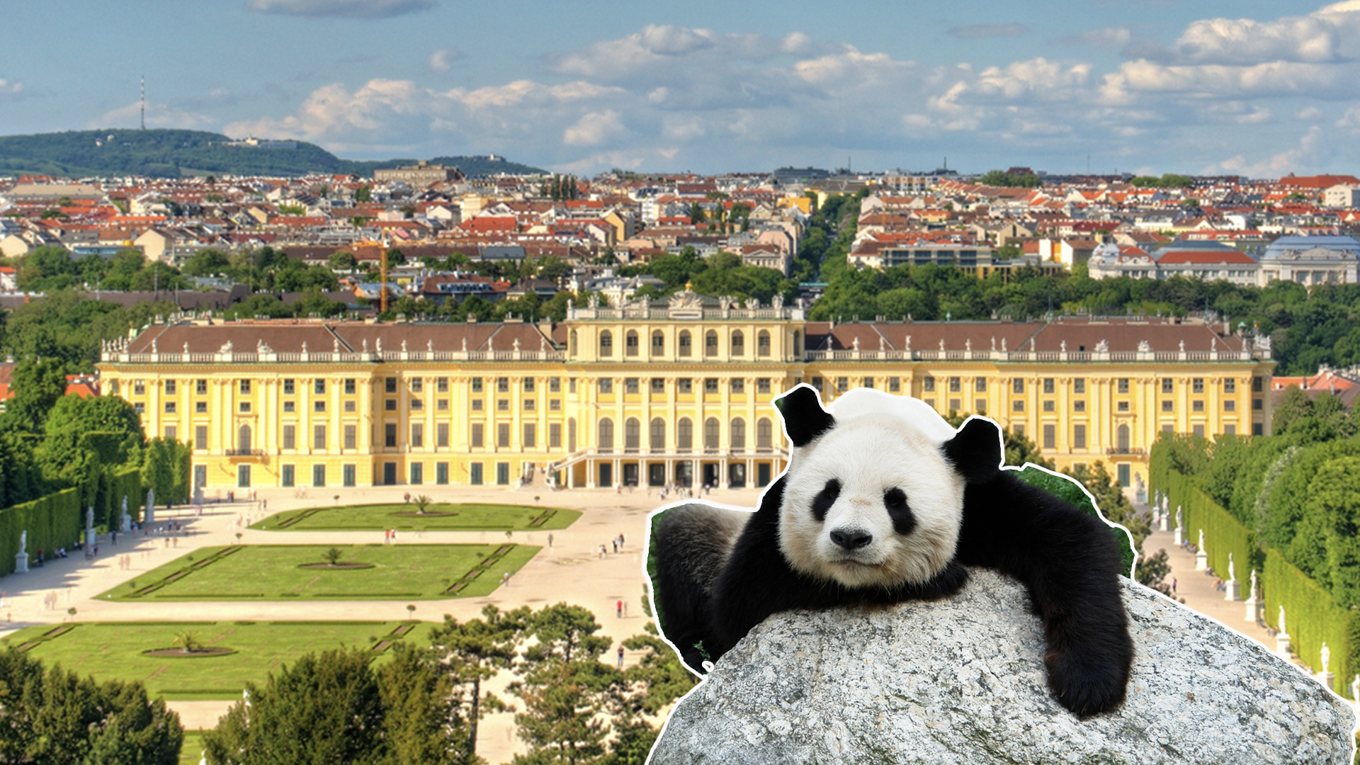 Schönbrunn öffnet wieder - das musst du wissen Schönbrunn öffnet wieder - das musst du wissen