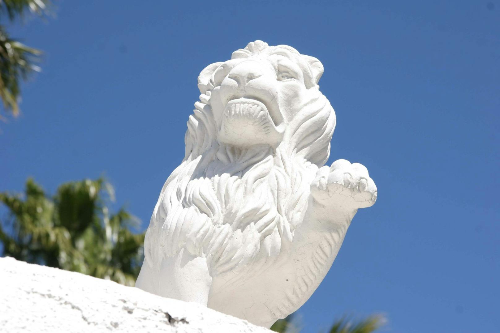 Auf den Toren der Villa prangt ein weißer Löwe. Passend, wo die Magier doch mit weißen Großkatzen ihr Vermögen begründet haben. 