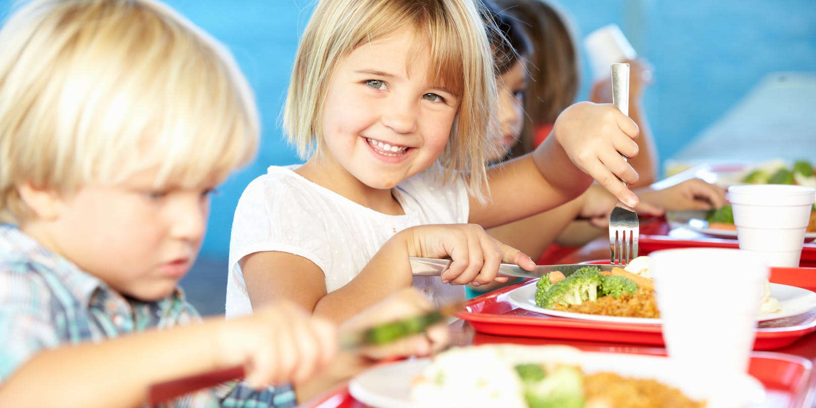 Durch gezielte Maßnahmen soll die Gesundheit der Österreicher verbessert werden, wie z.B. durch ein hochwertigeres Angebot in Schulbuffets und -kantinen für unsere Kinder