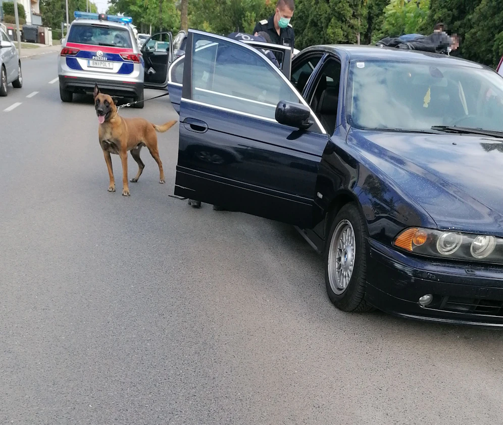 Ein Spürhund unterstützte die Polizei bei der Arbeit