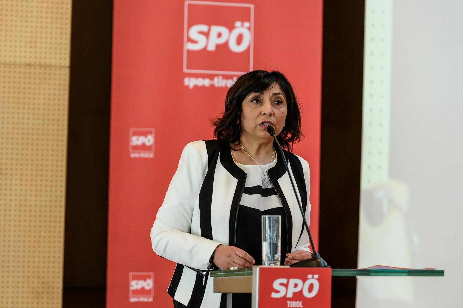 Nationalratsabgeordnete Selma Yildirim fordert eine Generalamnestie