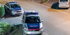 30-Jähriger rastet in Polizei-Auto völlig aus