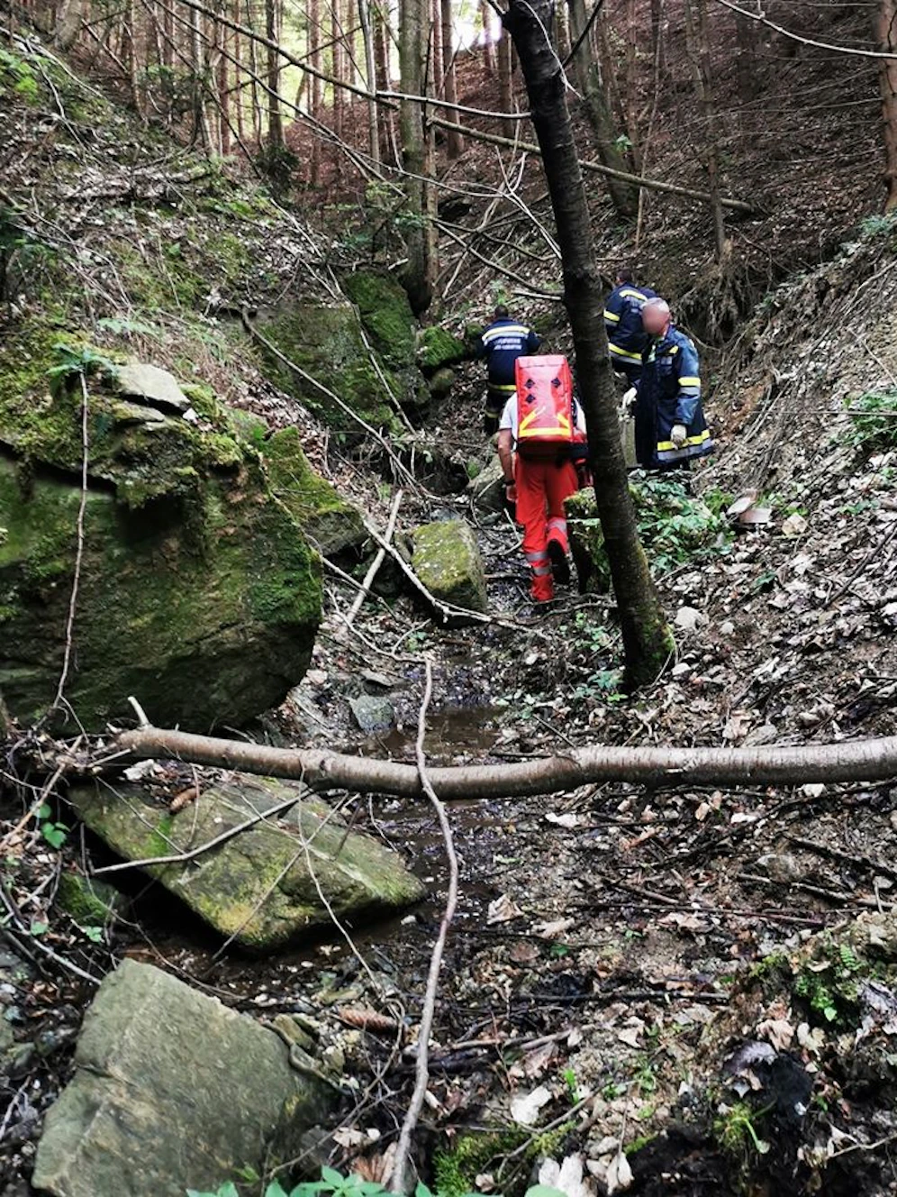 Ein 10-Jähriger stürzte beim Wandern: Einsatzkräfte vor Ort.