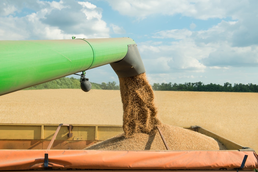 Diebe stahlen einen Anhänger, auf dem Weizen und Roggen gelagert waren.