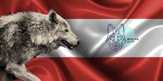 Wie geht es in Österreich mit dem Wolf weiter?