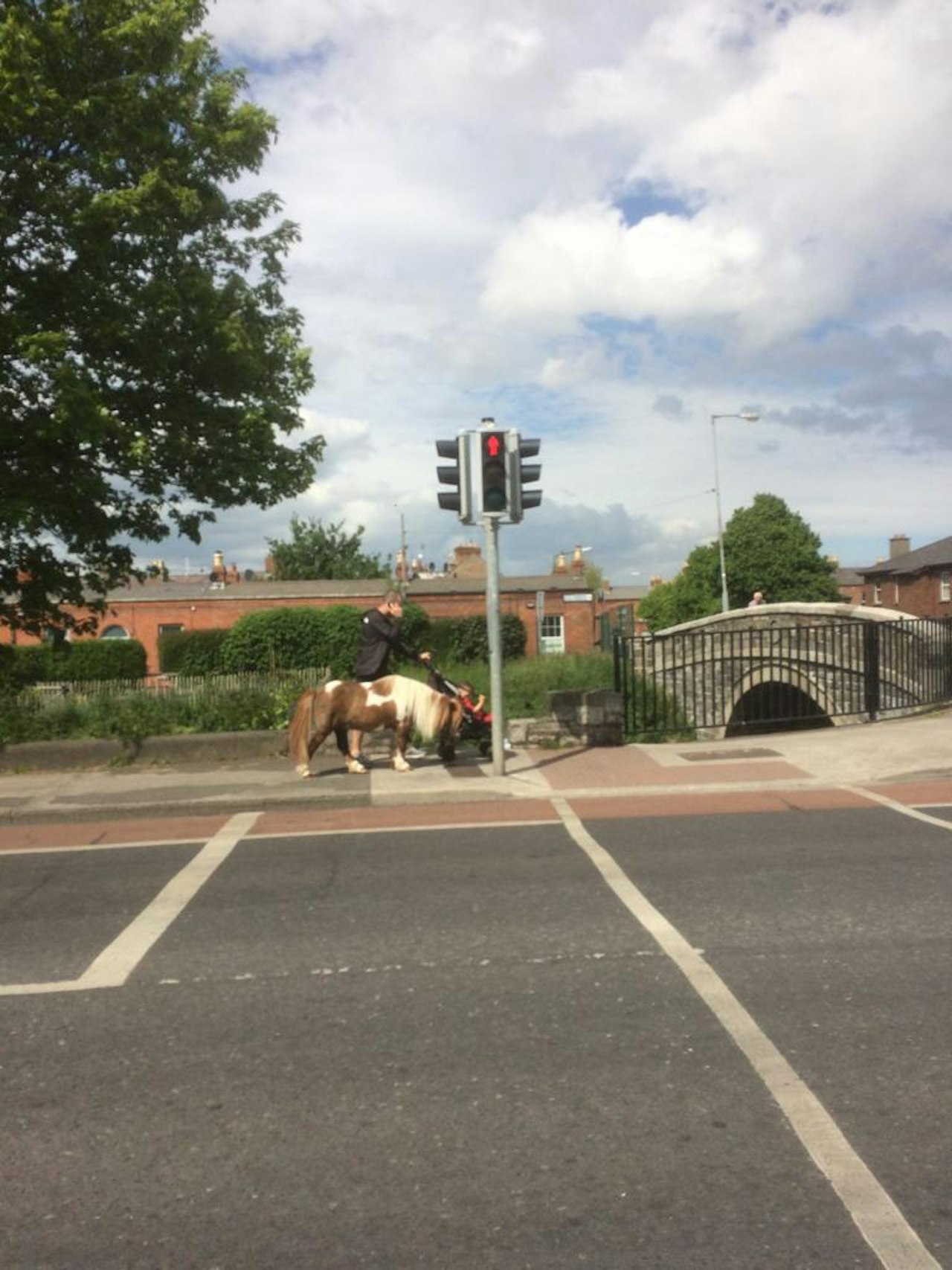 Heute.at - Mann spaziert mit Handy, Kind und Pony in Dublin