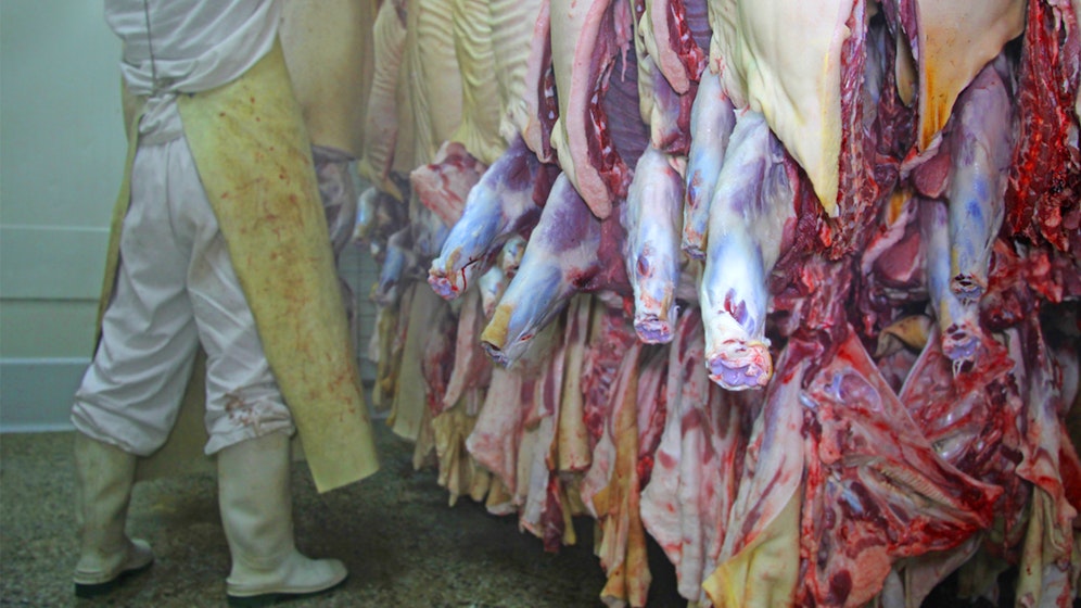 Corona-Hotspot Fleischindustrie! Immer mehr infizierte Schlachthof-Mitarbeiter in Deutschland.