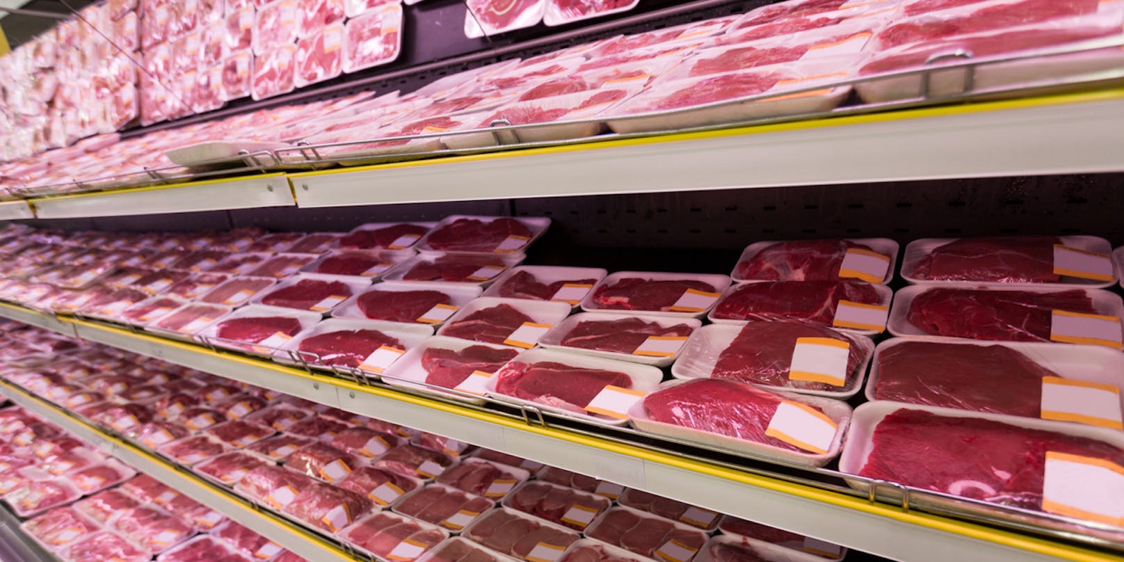 Weg von Billigfleisch und Massentierhaltung. Tierschutz- und Umweltschutzorganisationen fordern einen Systemwechsel in der Fleischindustrie. 