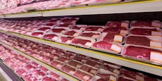 "Billigfleisch enormes Risiko" für neue Pandemie