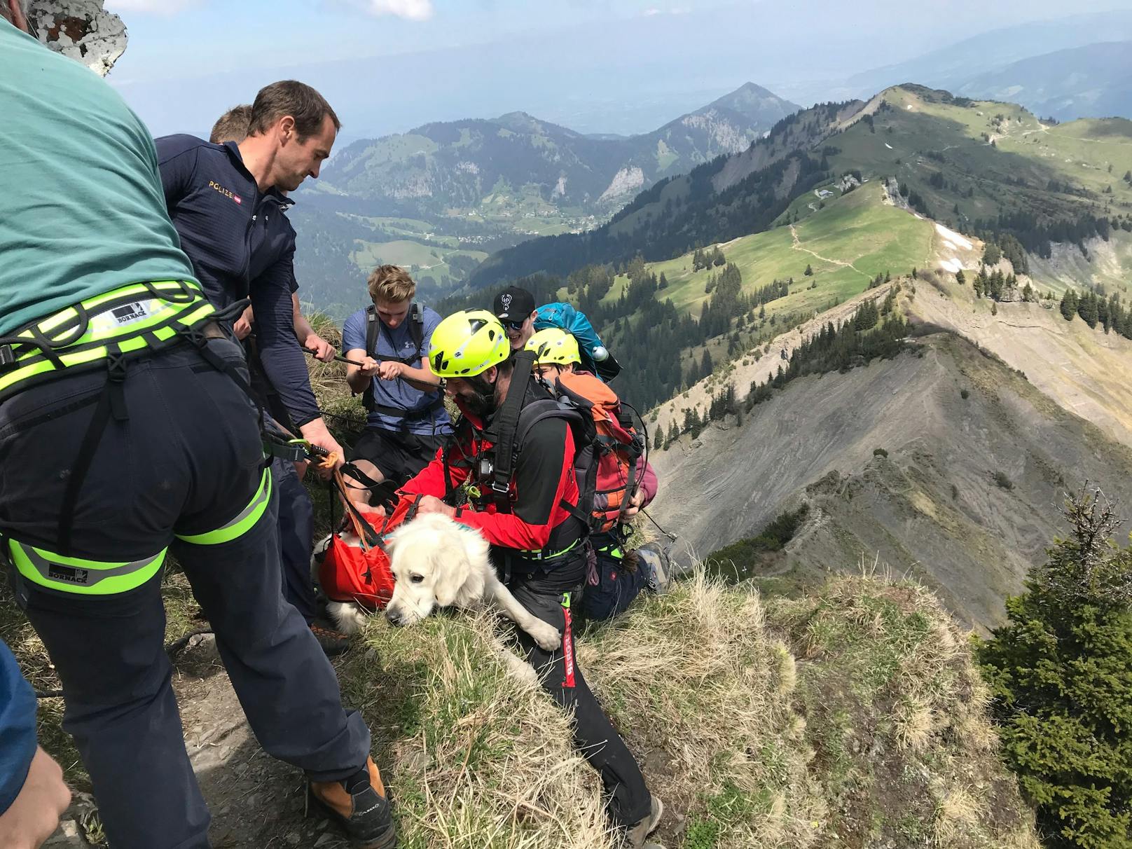 Die Einsatzkräfte konnten den Hund auf einem schmalen Felsvorsprung sichern und schließlich zurück auf den Weg ziehen. "Finn" hatte Glück und sich bei seinem Absturz nur leichte Verletzungen zugezogen.