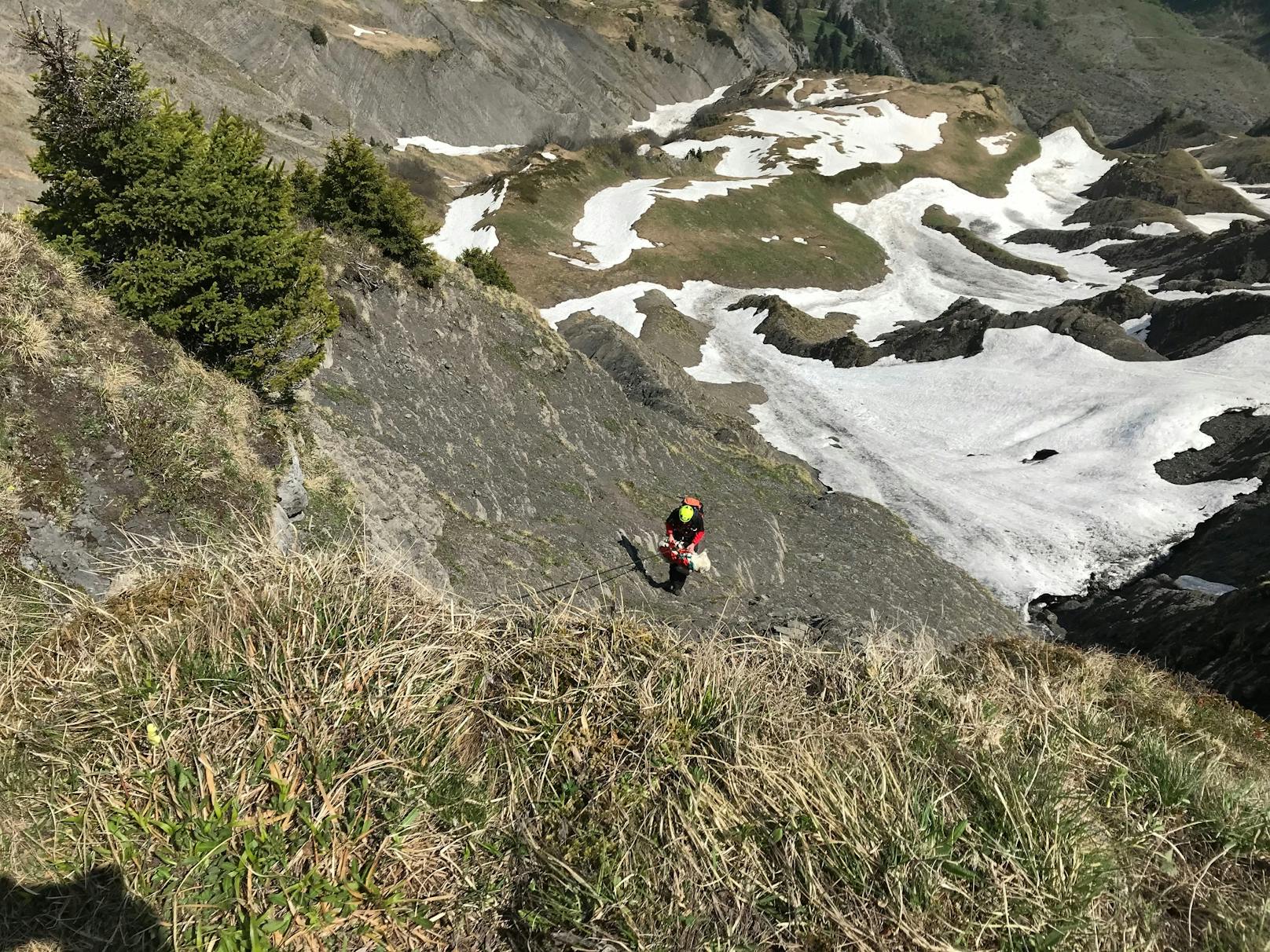 Der Golden Retriever einer Wanderin war knapp unterhalb des Gipfels abgerutscht und rund 60 Meter über die steile, felsdurchsetzen Ostwand gestürzt.