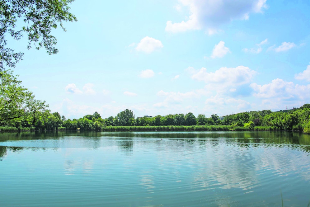 Badeteich in Guntramsdorf