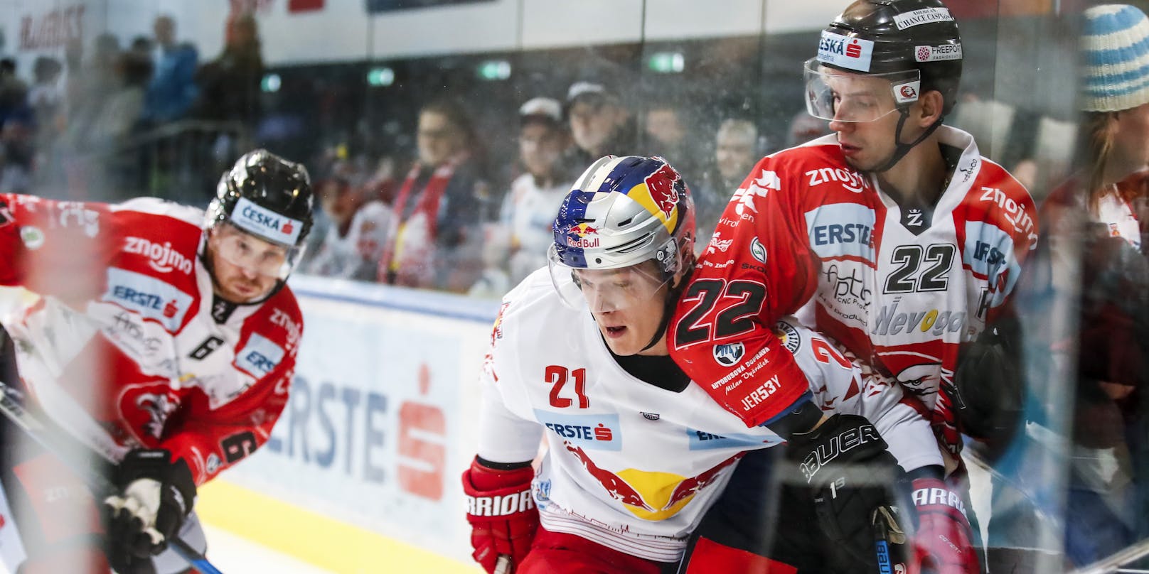Der HC Orli Znojmo wird kommende Saison nicht in der internationalen Eishockey-Liga spielen.