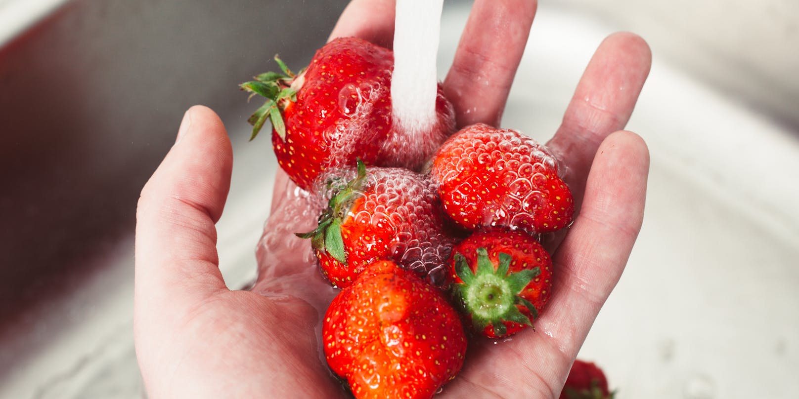 Erdbeeren sind super, aber sie schmecken nicht nur uns. (Symbolbild)<br>
