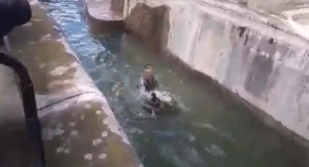 Ein Video zeigt die unfassbare Tat.