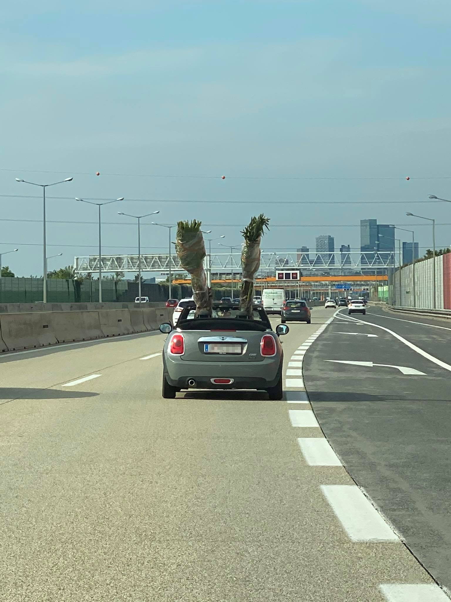 Eine Leserin entdeckte den lustigen Transport.