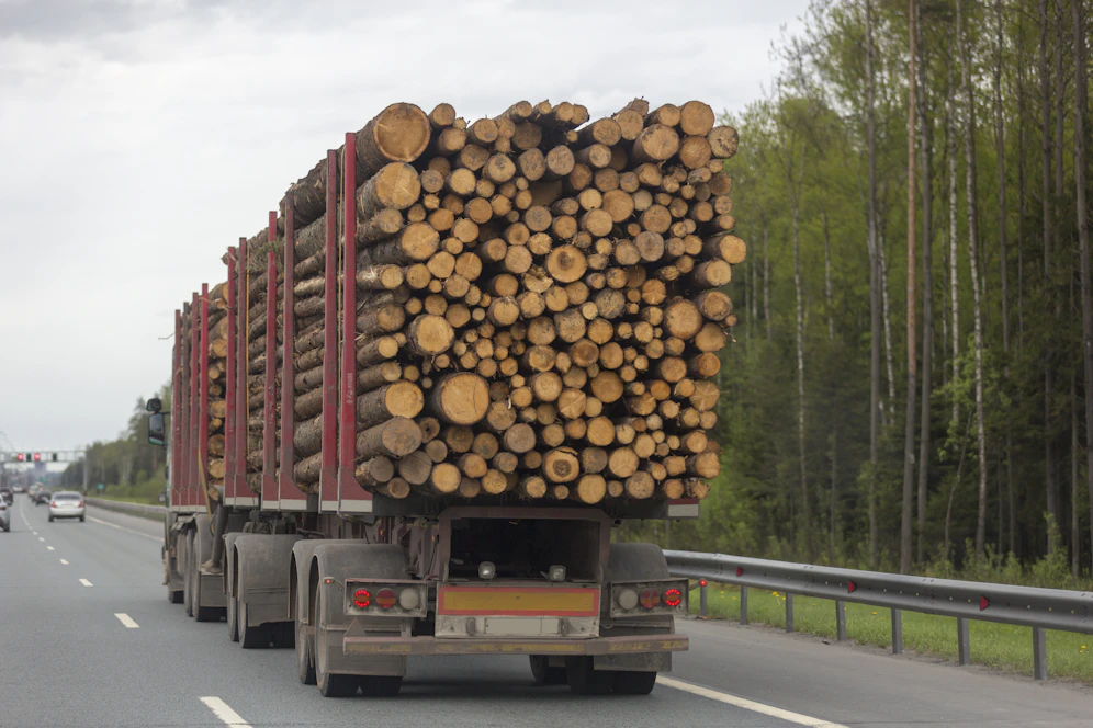 FPÖ fordert Transportstopp von Billigholz.