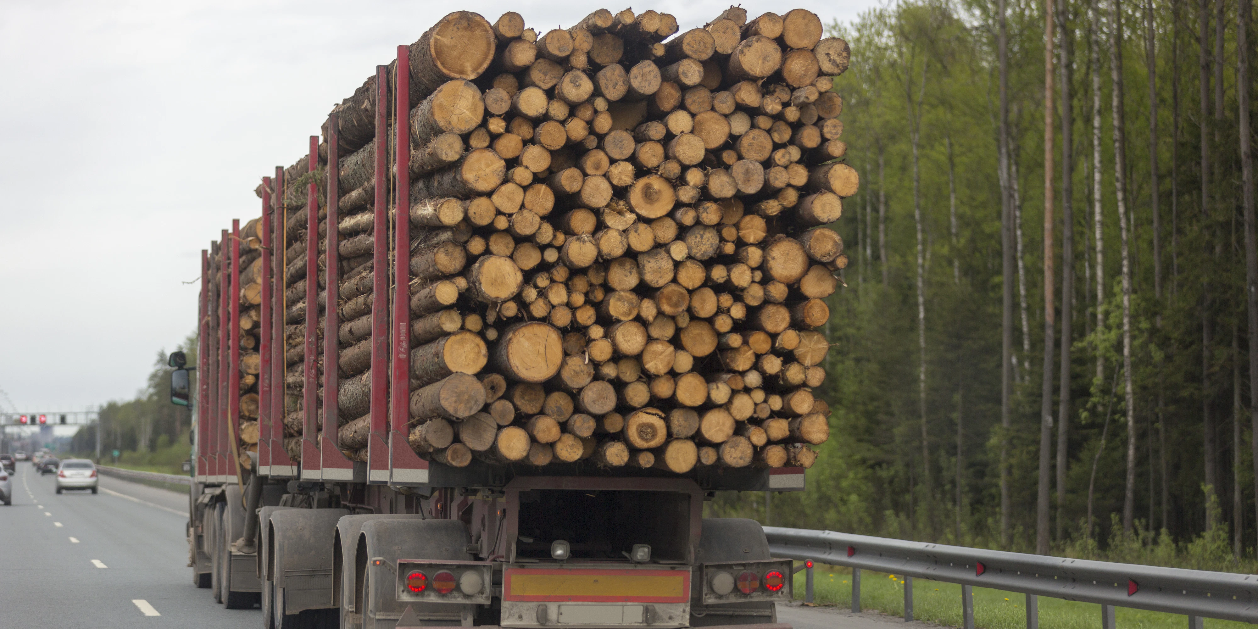 FPÖ fordert Transportstopp von Billigholz.