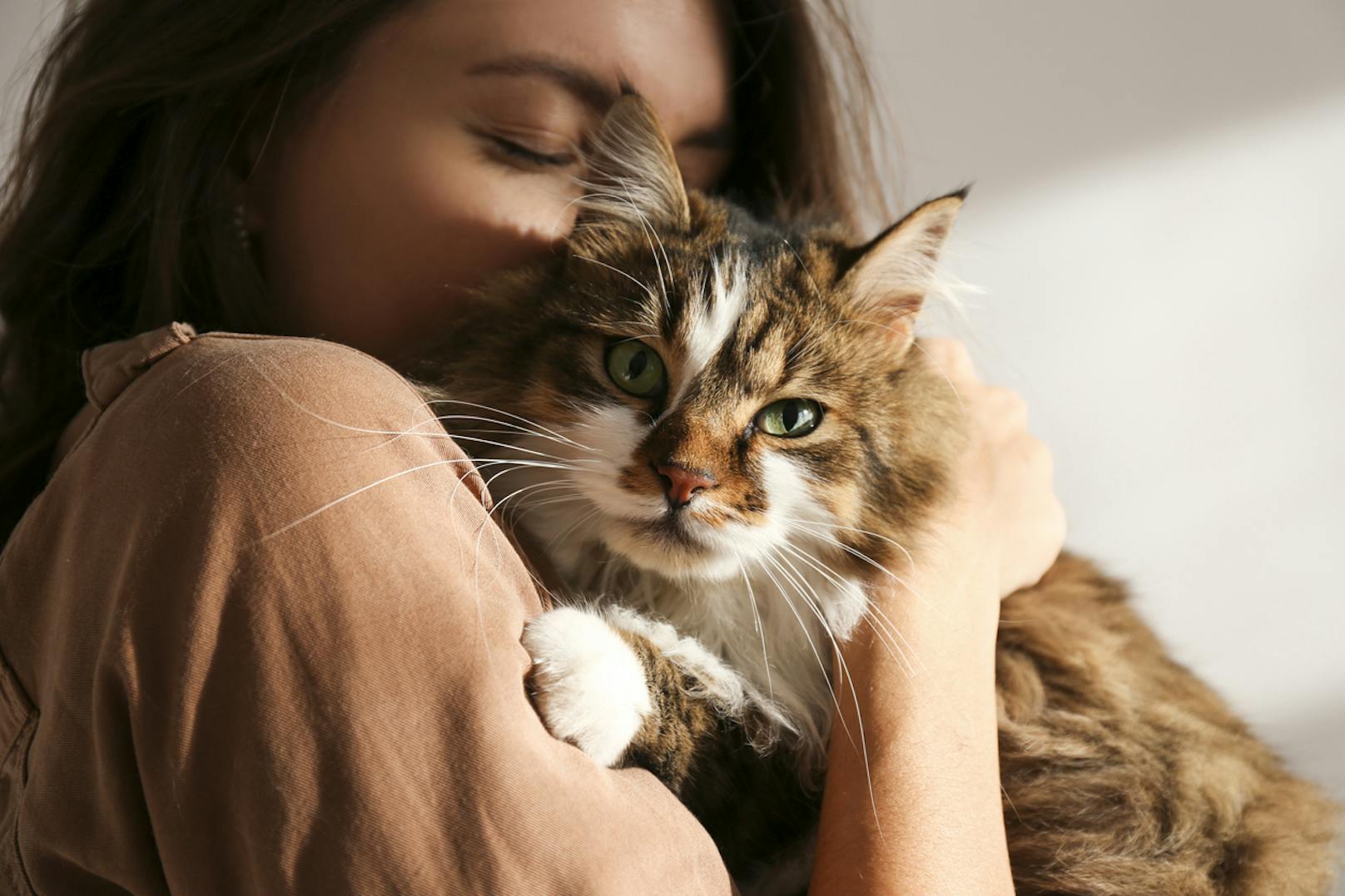 6 Dinge, die Katzenhalter oft falsch machen