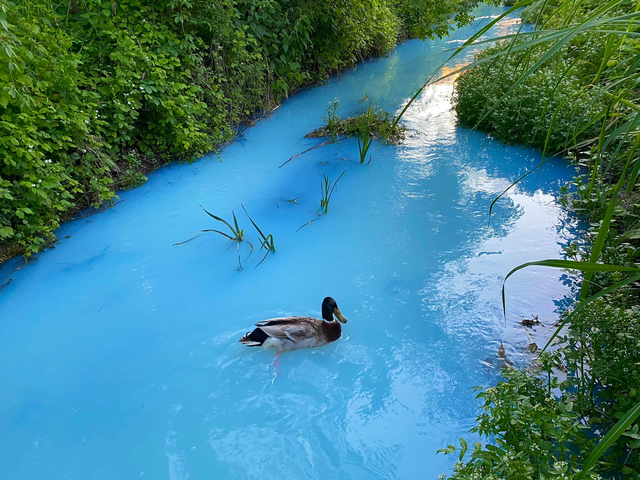 Welche Substanz für die Verfärbung verantwortlich ist, ist noch Gegenstand von Ermittlungen.