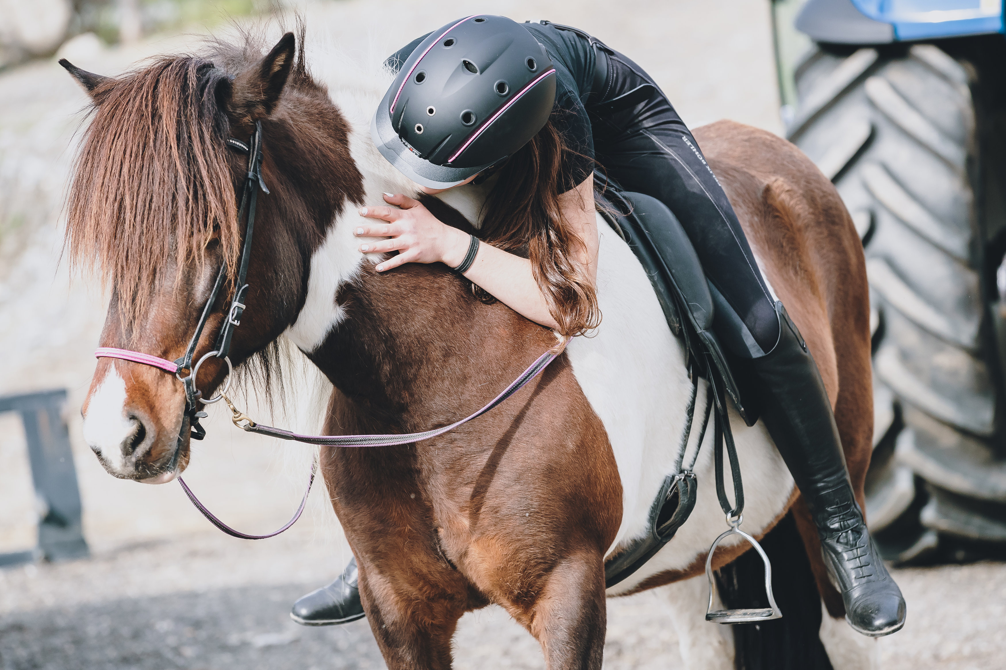 "Adelige" Versuchte Pferd Aus Reitstall Zu Stehlen - Tirol | Heute.at