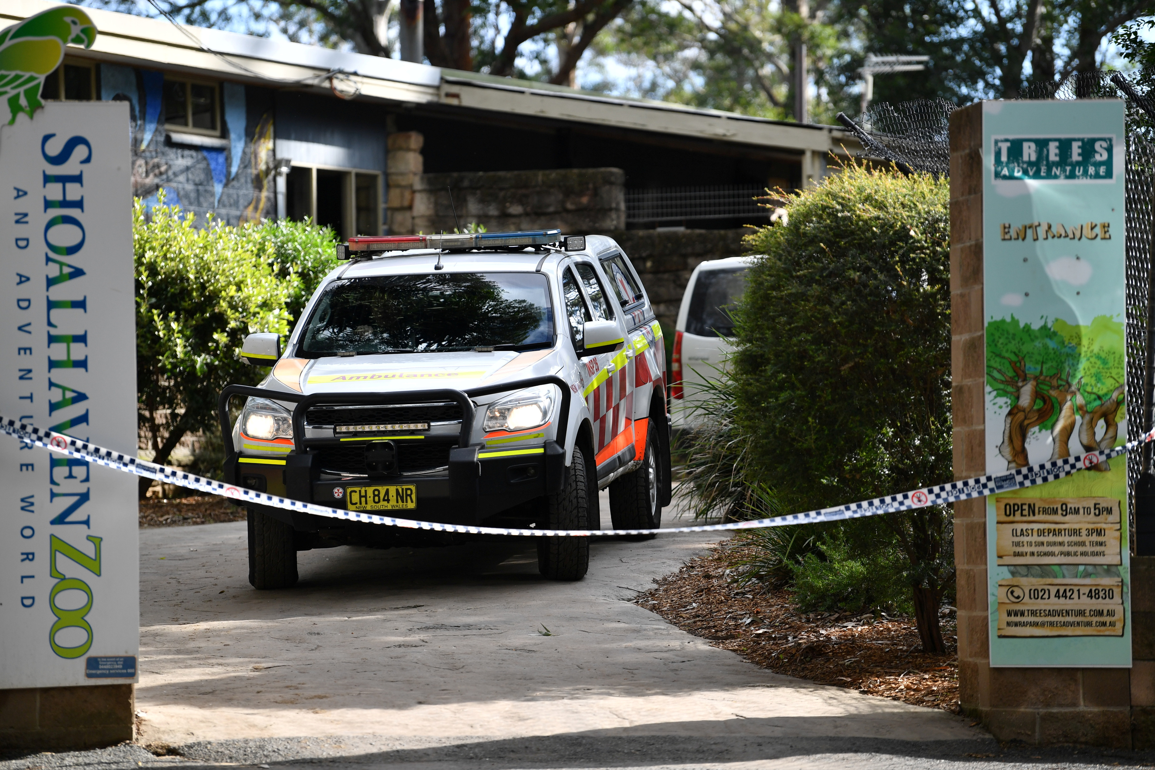 Die Löwen-Attacke passierte im Zoo von Shoalhaven.