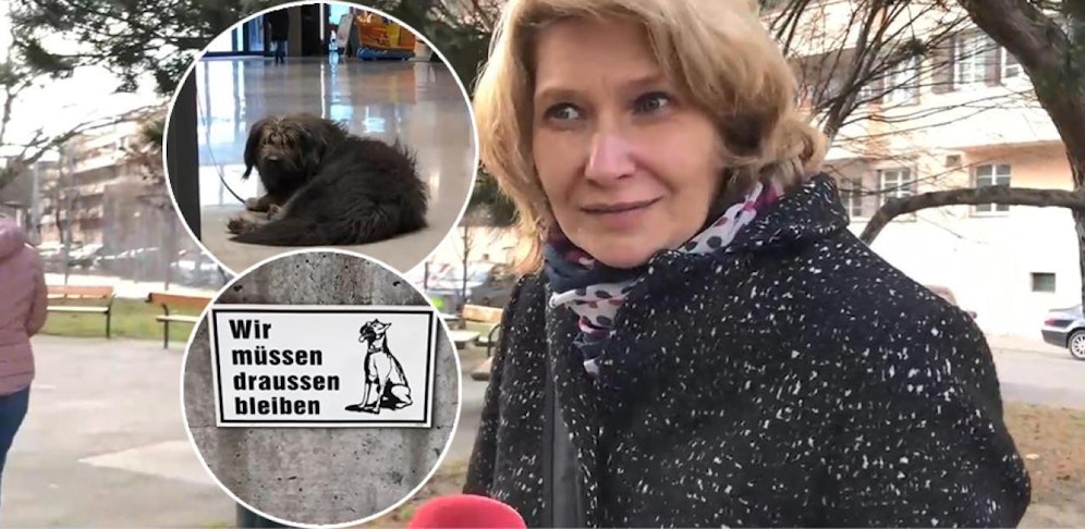 Eine Umfrage unter Hundebesitzern zeigt: Viele sind skeptisch, ihren Hund vor dem Supermarkt anzuhängen.