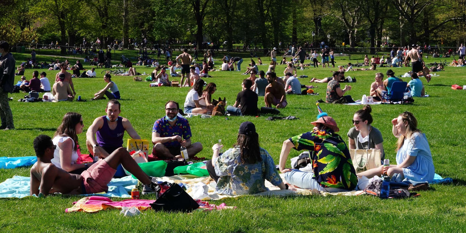 Zahlreiche Menschen genießen die Sonne in einem Park.