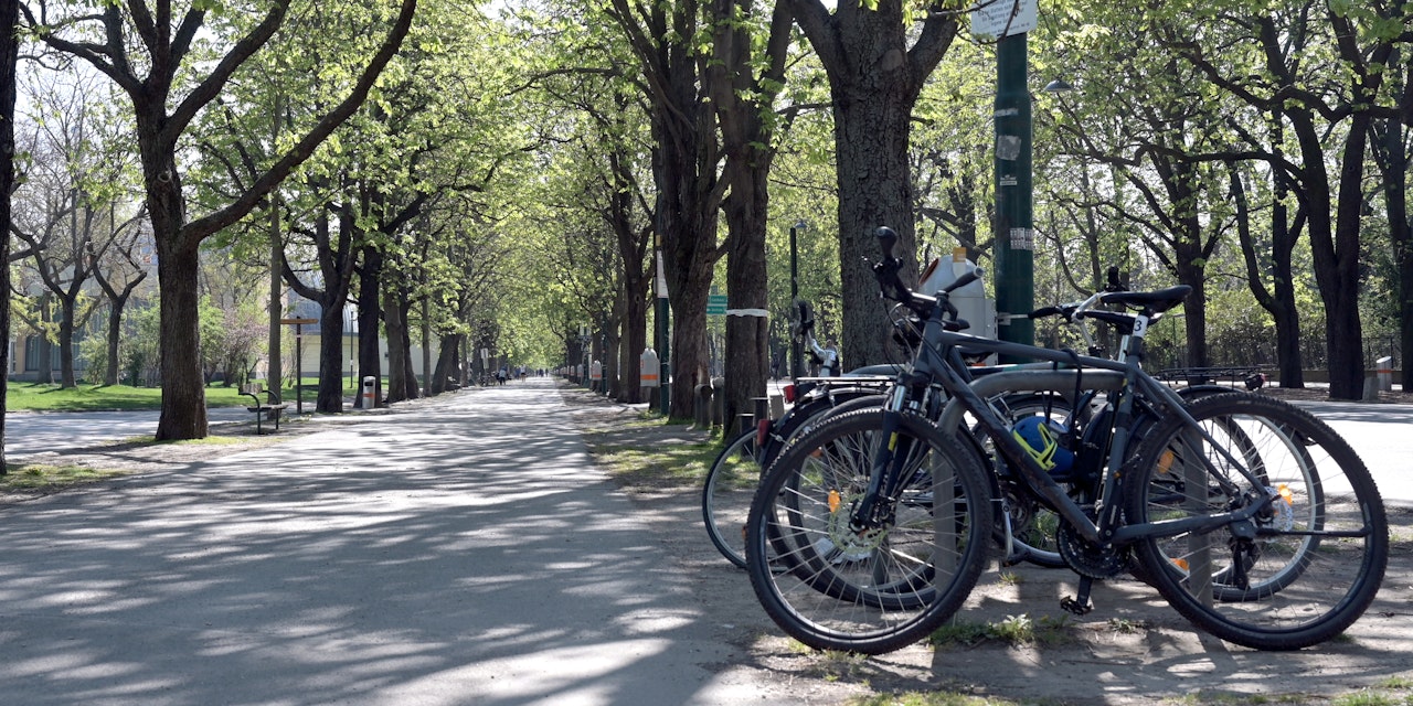 Betrunkener FahrradDieb von Polizei erwischt Wien