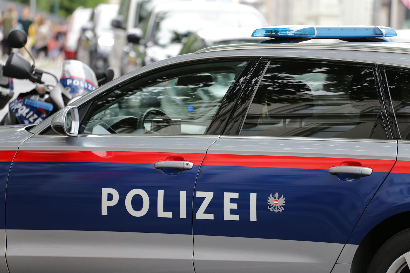 Die Polizei musste in Kärnten mehrmals ausrücken.