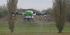 Drohnen-Einsatz im Kampf gegen die Gelsenplage