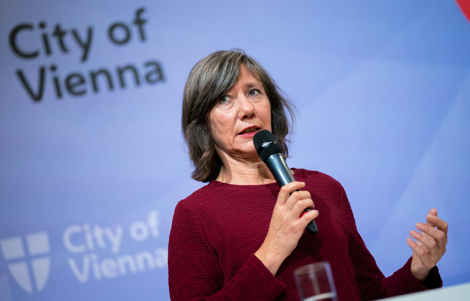 Seit Birgit Hebein zur Vizebürgermeisterin ernannt wurde, trieb sie diverse Projekte voran, um den Verkehr in der Stadt zu reduzieren.