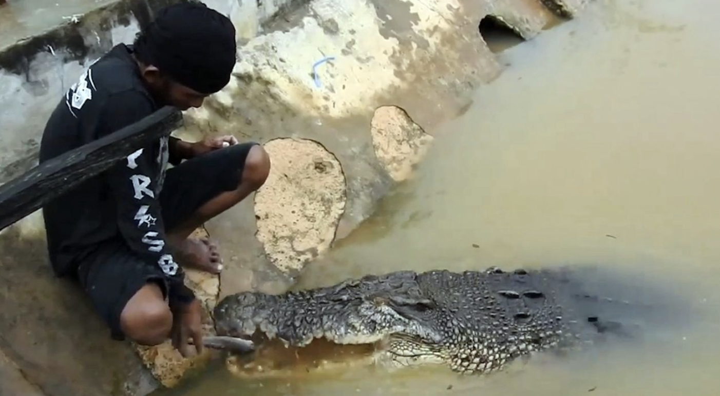 Wildes Krokodil frisst Dorfbewohnern aus der Hand HeuteTierisch