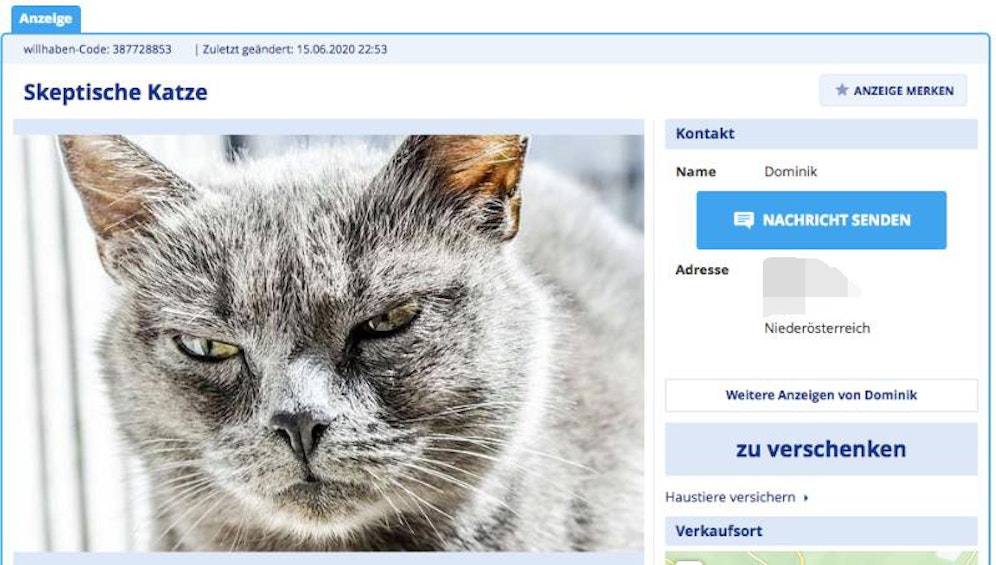 Das Katzeninserat auf willhaben.at