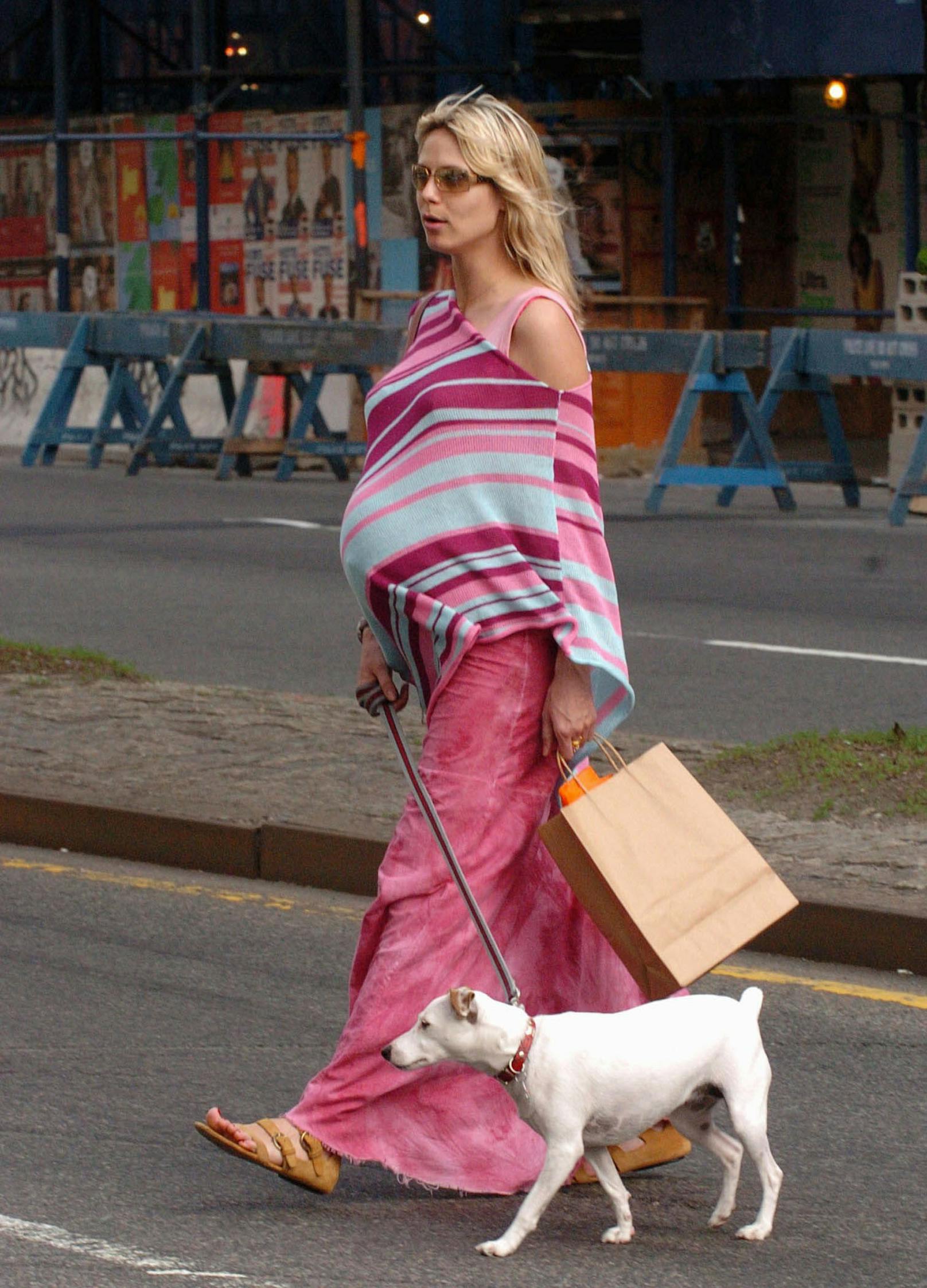 Doch es geht noch weiter in die Vergangenheit: Heidi war auch während einer ihrer Schwangerschaften im Jahr 2004 schon in vierbeiniger Begleitung eines Jack Russell Terriers.