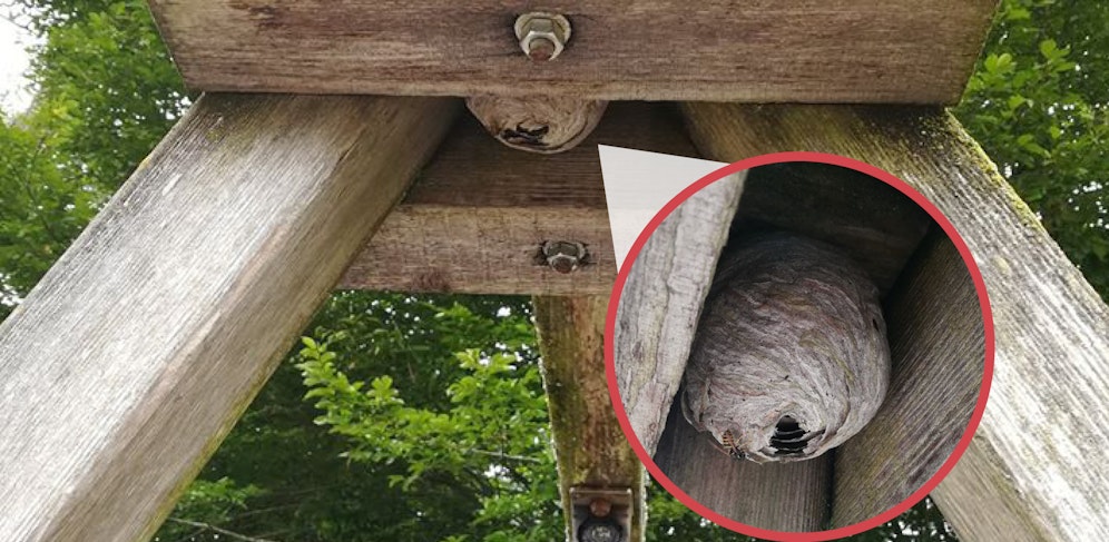Die Feuerwehr musste bei einer Schaukel im Kindergarten ein großes Wespennest entfernen.