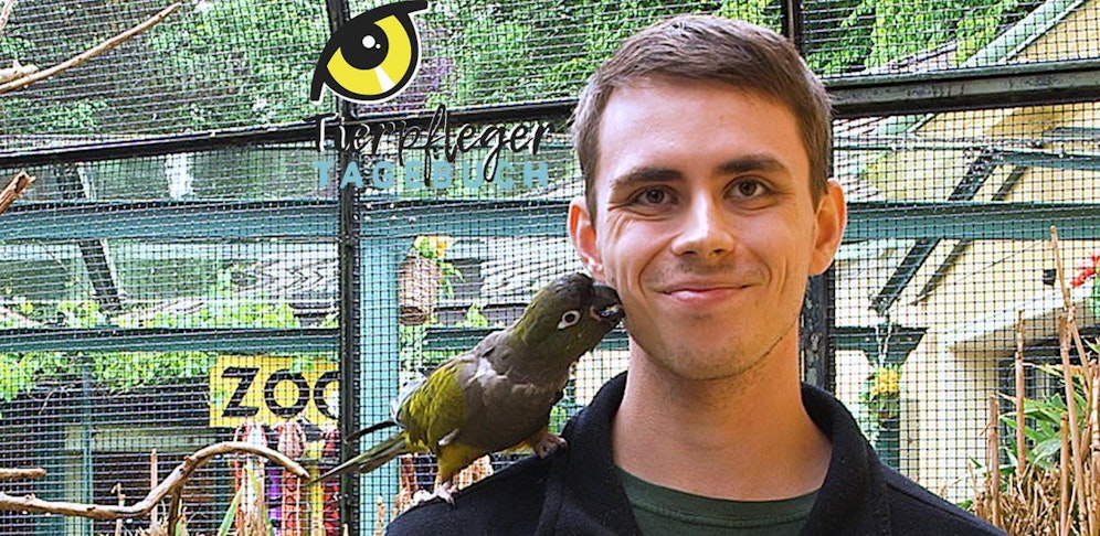 Tierpfleger-Tagebuch aus Schönbrunn - nur hier bei 