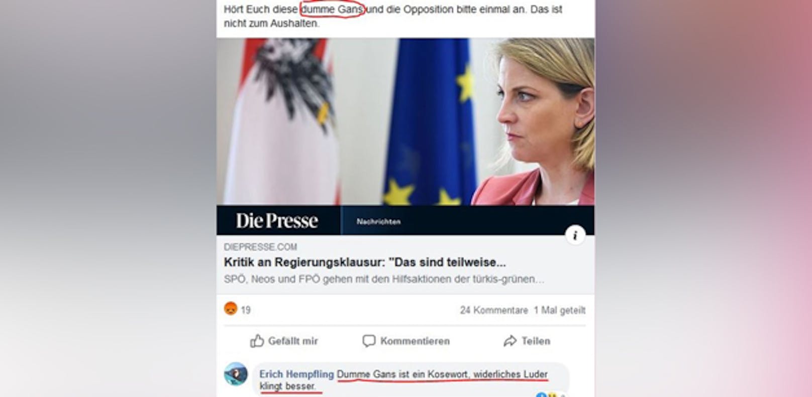 "Luder"-Kommentar von VP-Ehrenobmann in NÖ.