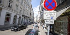 Kameras sollen Verkehr in Wiener Innenstadt beruhigen