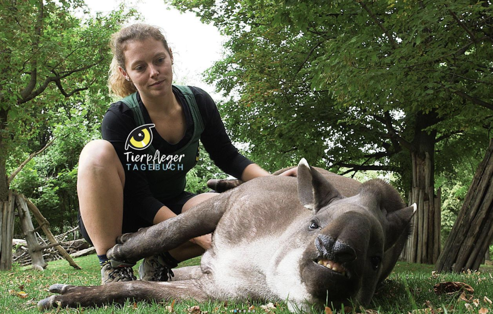 Das Tierpfleger-Tagebuch aus Schönbrunn - nur hier bei 