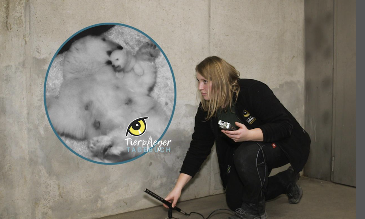 Heute.at - So genießen Eisbär-Mama und Baby die Zweisamkeit