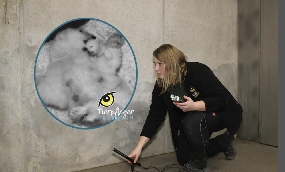 Das Tierpfleger-Tagebuch aus Schönbrunn - nur hier bei 