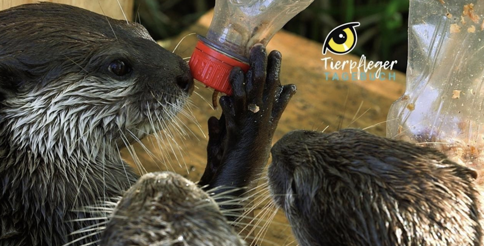 Das Tierpfleger-Tagebuch aus Schönbrunn - nur hier bei 