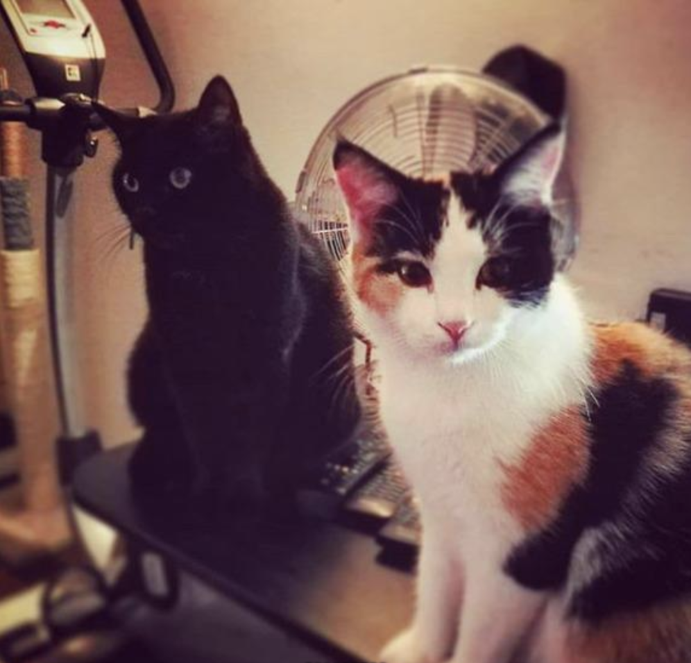 Chelsea und Becky geben zuhause den Ton an