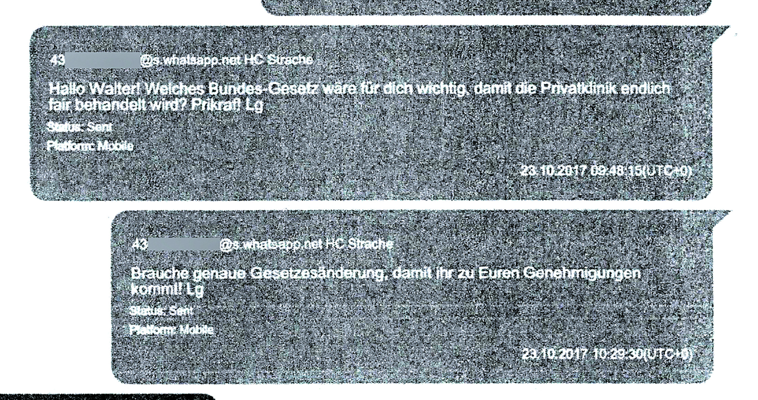 Diese Nachrichten schrieb Strache an Grubmüller.