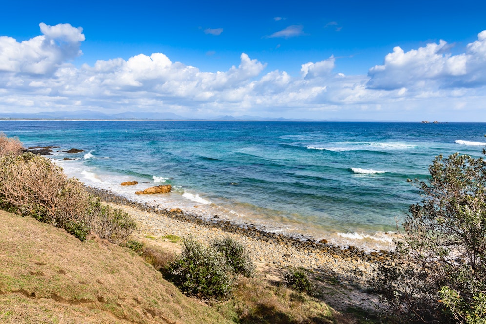 Forscher haben viele neue Arten fleischfressender Schwämme vor der Küste Australiens gefunden.