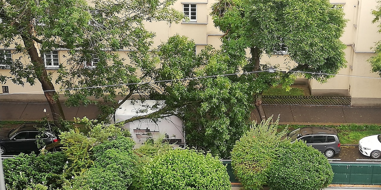 Unwetter sorgte für umgestürzten Baum in Wien - Community ...