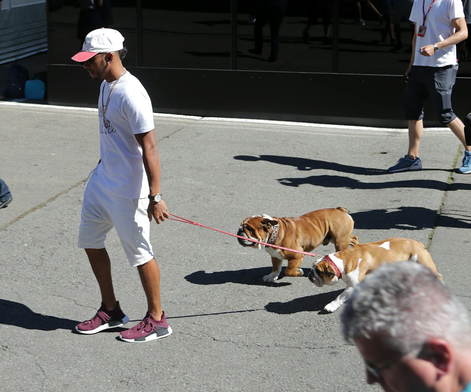 Lewis Hamilton mit Roscoe und Coco.