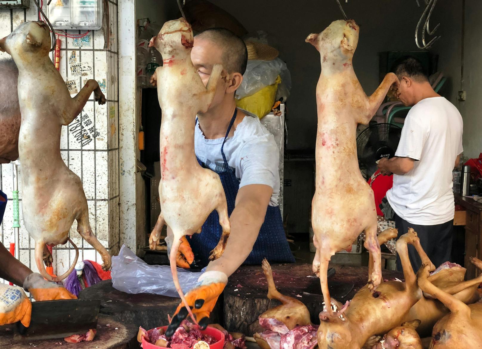 Trotz der Corona-Pandemie findet das jährliche Hundefleisch-Festival in der südwestlichen Stadt Yulin statt.